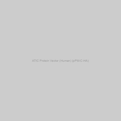 ATIC Protein Vector (Human) (pPM-C-HA)